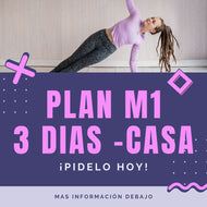 PLAN  M1- CASA- 3D