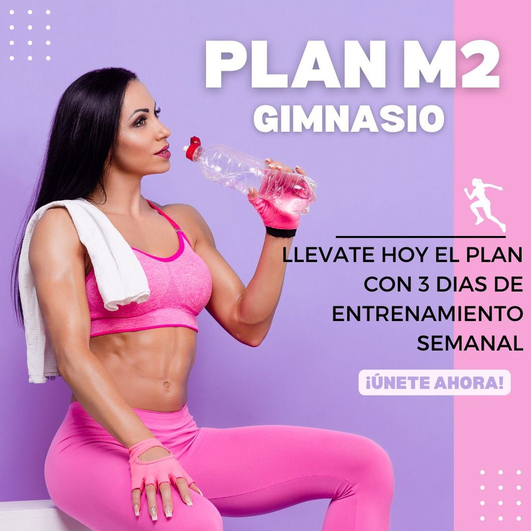 PLAN M2-GYM-3D