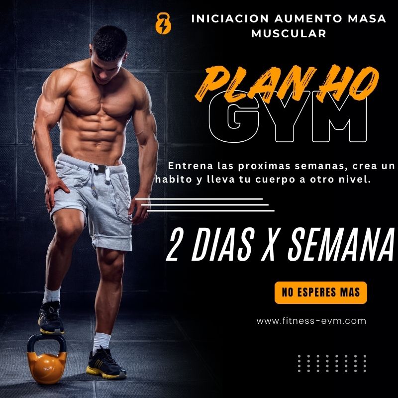 PLAN H0- AUMENTO MASA MUSCULAR  (NIVEL INICIACION)