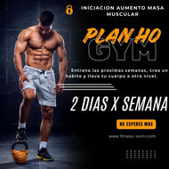 PLAN H0- AUMENTO MASA MUSCULAR  (NIVEL INICIACION)